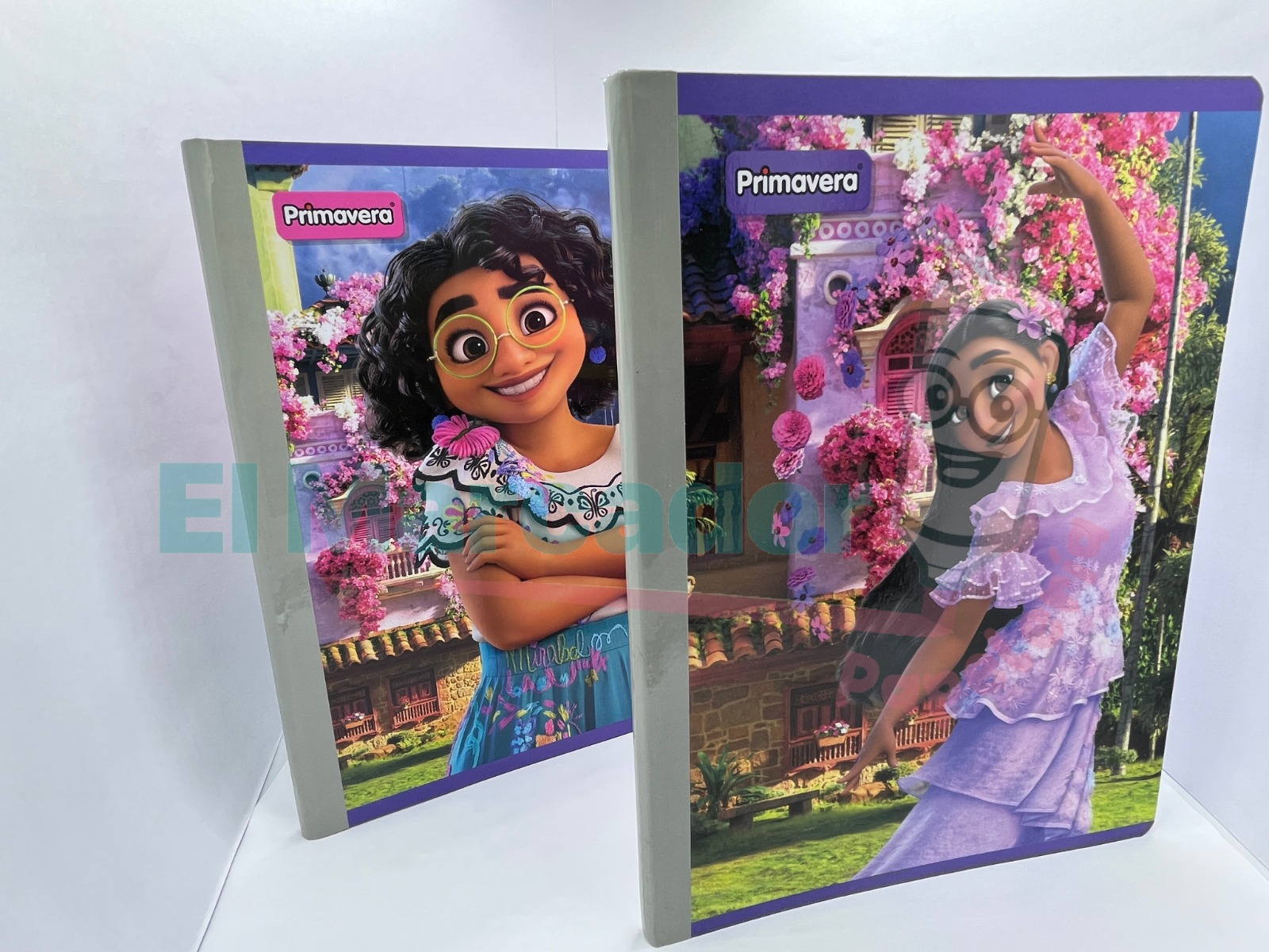 LIBRETA EMPASTADA 1 LINEA X 100 HOJAS ENCANTO- PRIMAVERA - Image 3