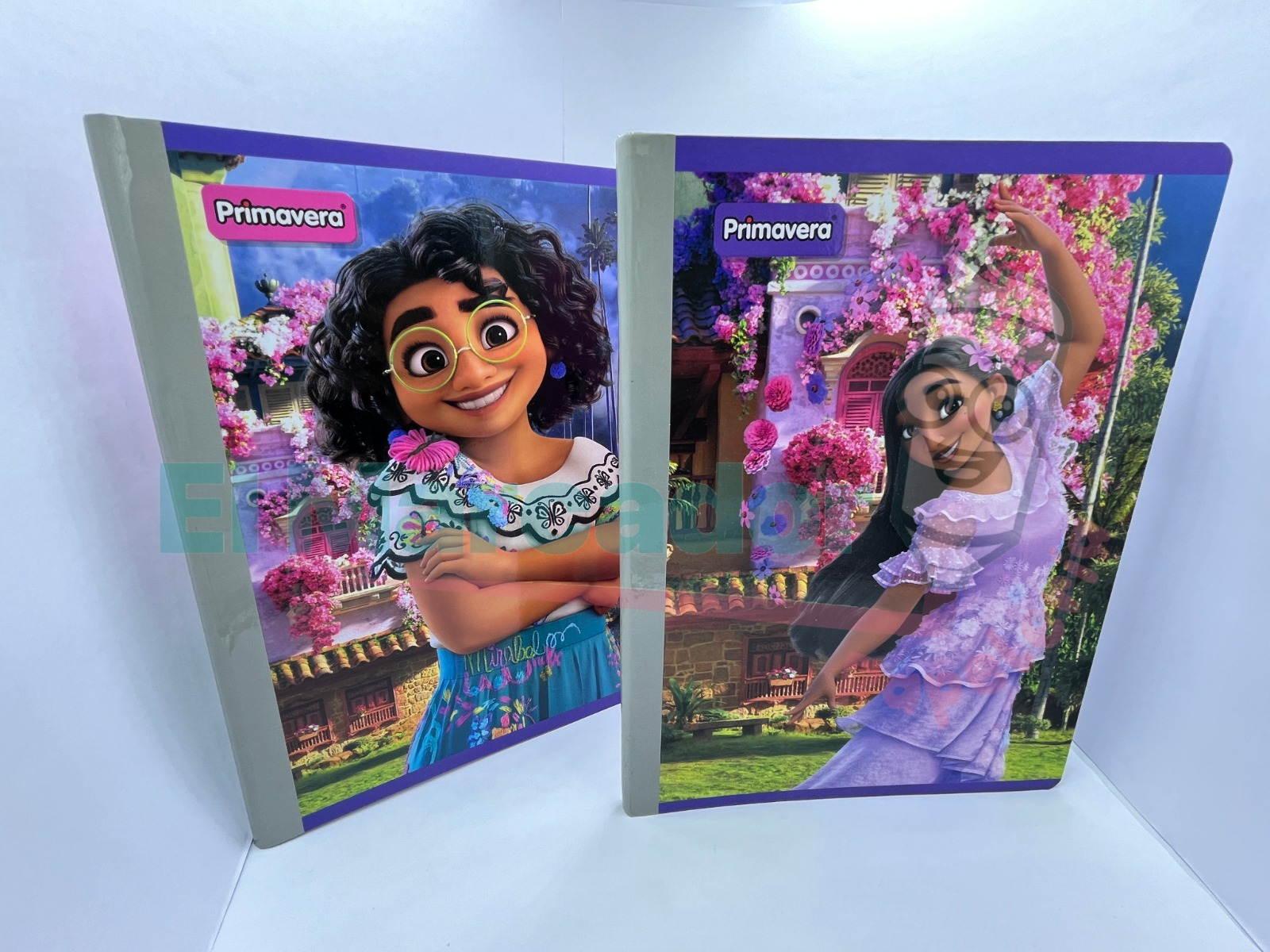 LIBRETA EMPASTADA 1 LINEA X 100 HOJAS ENCANTO- PRIMAVERA - Image 2